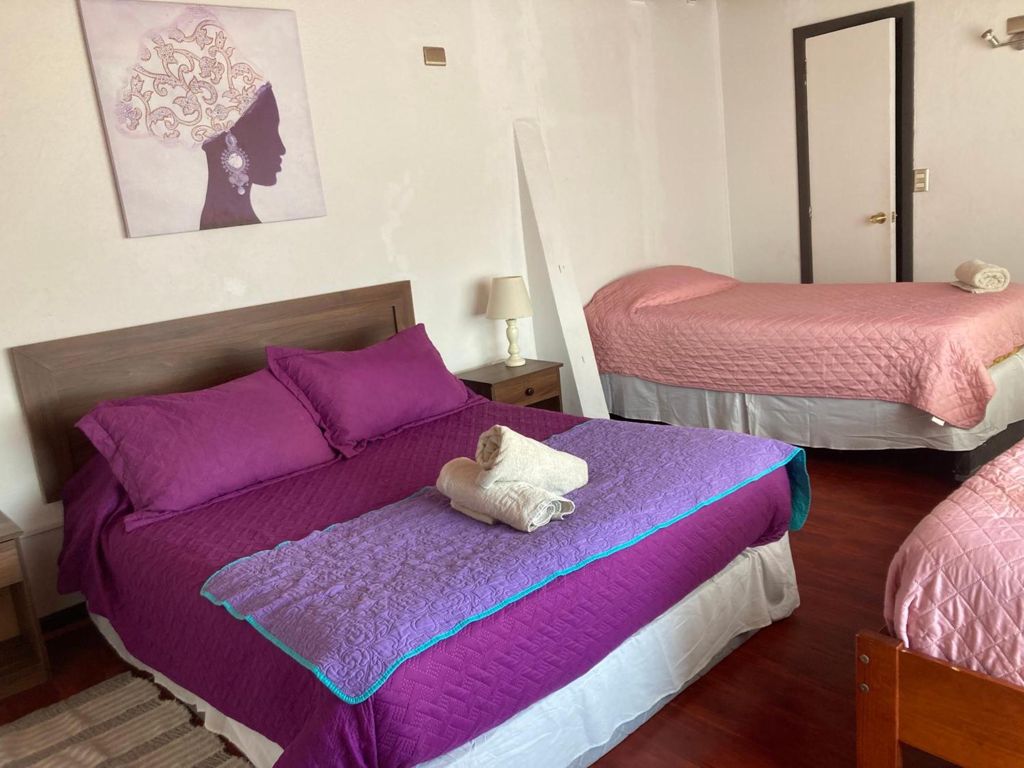 וינה דל מר Hotel Bianca Boutique מראה חיצוני תמונה